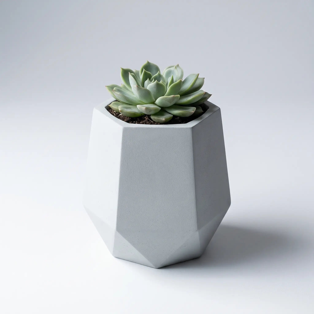 Prism — Handmade Mini Planter