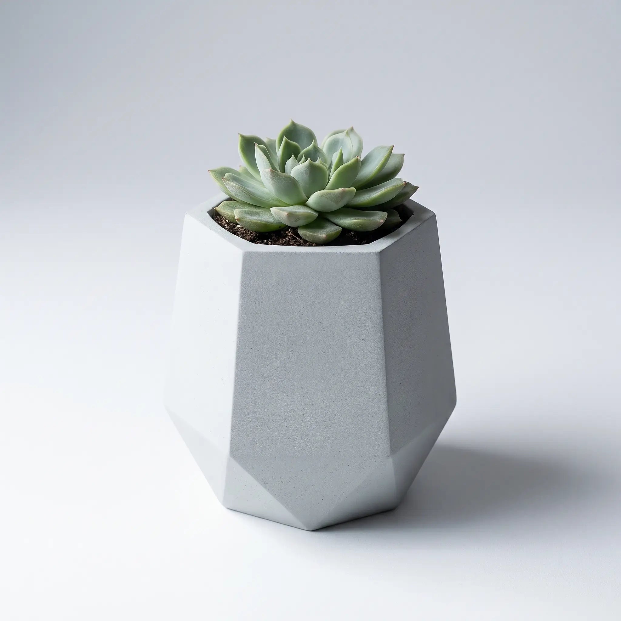 Prism — Handmade Mini Planter
