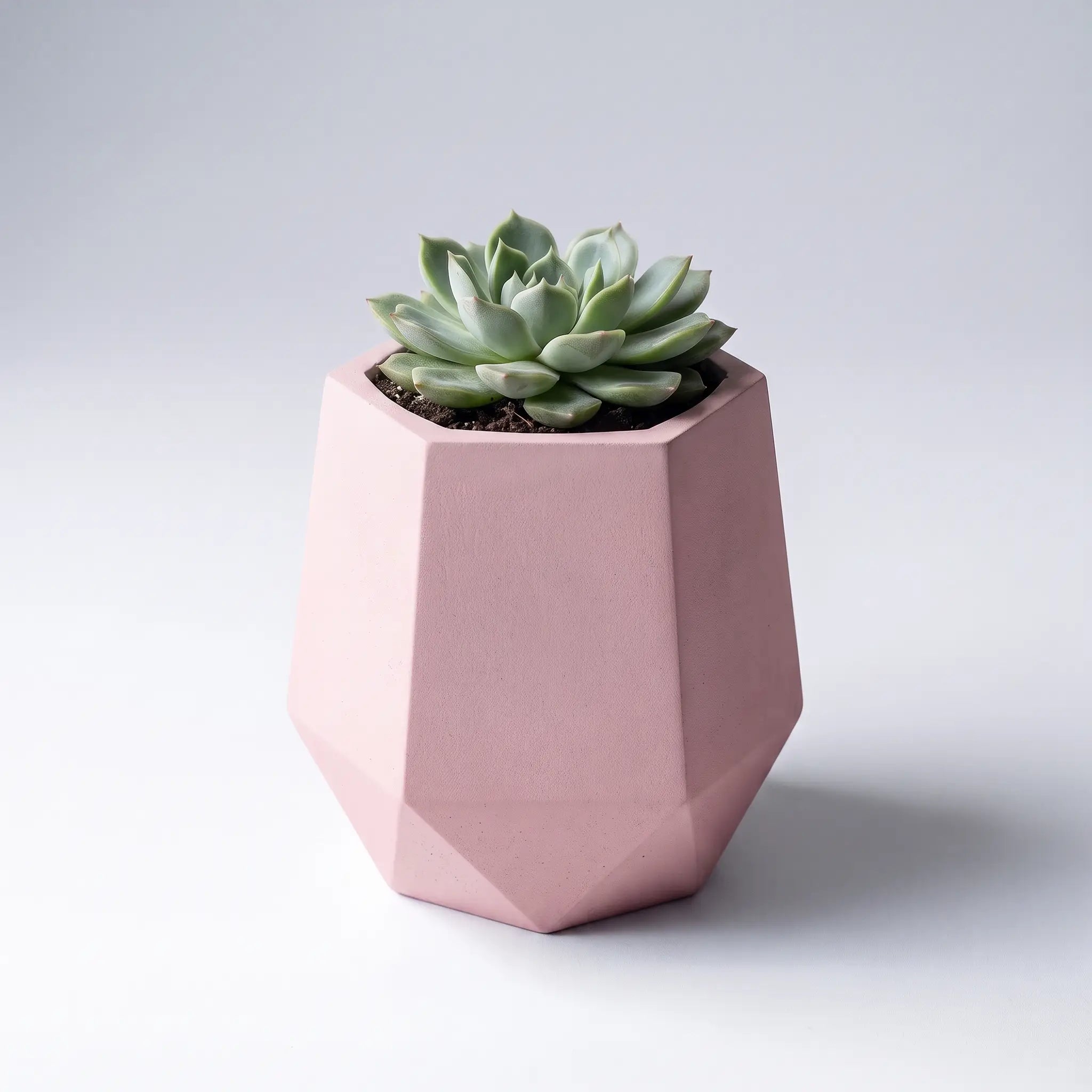 Prism — Handmade Mini Planter