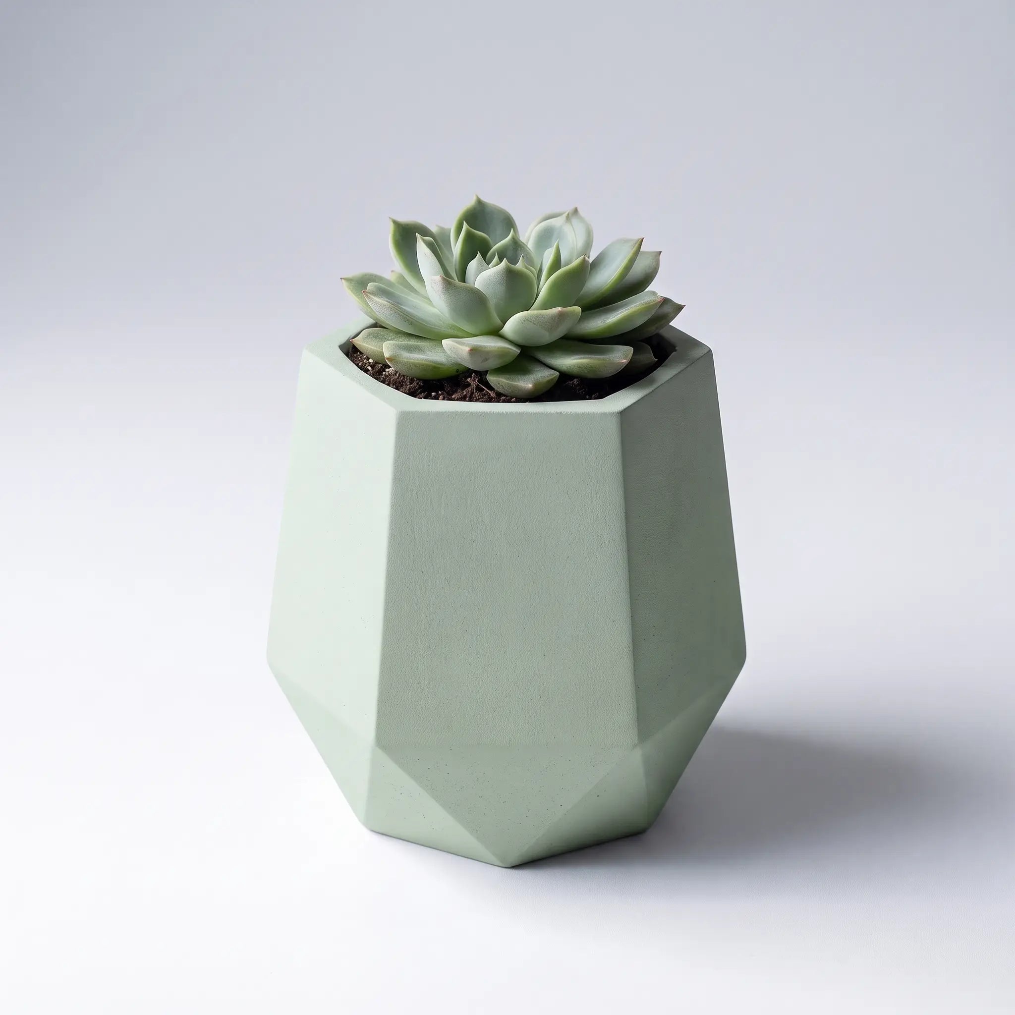 Prism — Handmade Mini Planter